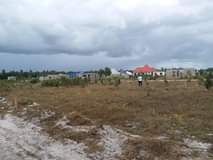 A picture of TUNAUZA VIWANJA VIKINDU NA KISEMVULE KUONA SITE BURE USAFIRI JUU