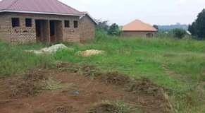 Nsamba U.