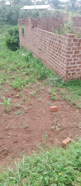 A picture of 20 50 plot