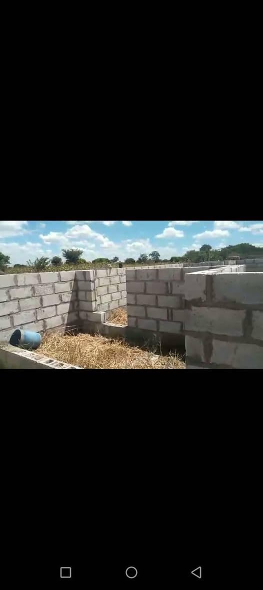 zambia plots