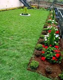 landscaping