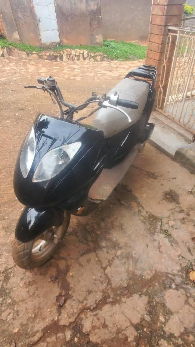motorbikes