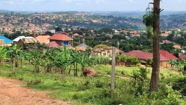A picture of Nansana kayunga Wakiso estate 50x100ft titled