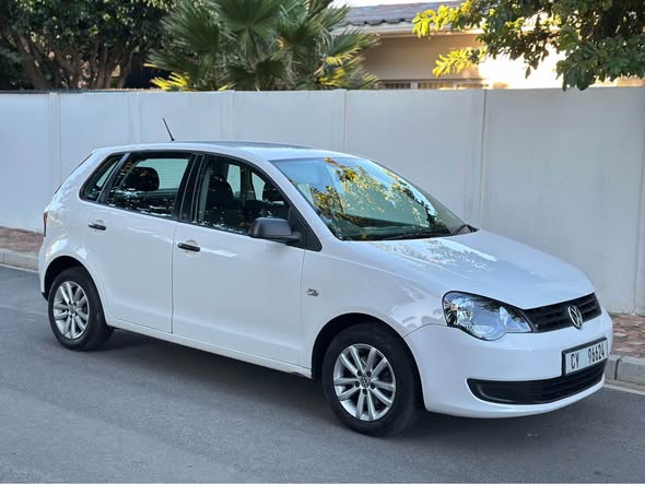 polo vivo