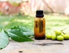 A picture of Neem Oil