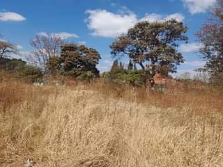 Property for Sale