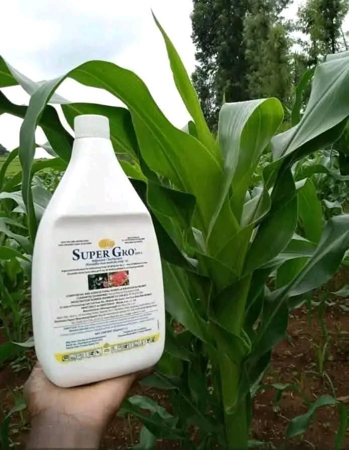 fertilizer