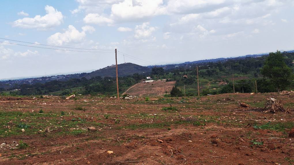 A picture of TITLED PLOTS AT 10M