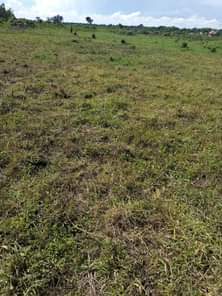 A picture of 50acres of land on sale selling from 20acres and above