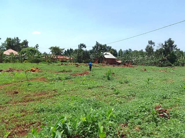 A picture of Wobulenzibukalasa near bukalasa lands 0759364940