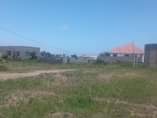 A picture of kiwanja nauza
