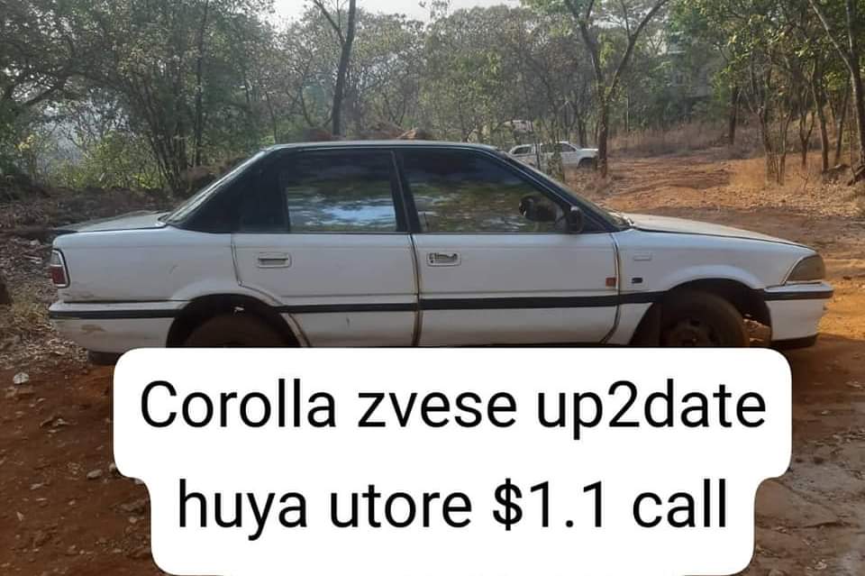 used nissan sunny