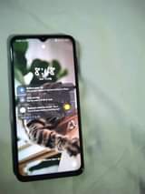 samsung f13