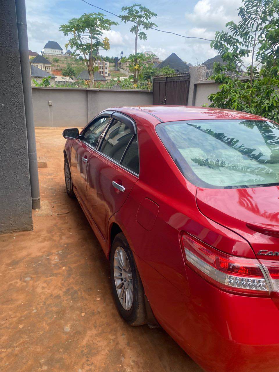 A picture of Camry spider