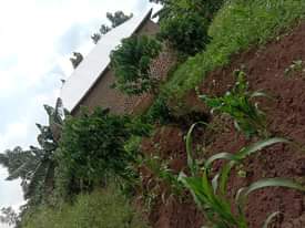 A picture of PLOT FOR SALE AT KASANA LUWEERO