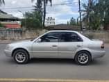 A picture of COROLLA 111