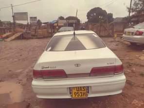 A picture of 6 5m 0705835212