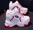 A picture of Shoe