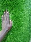 A picture of Grass Carpets 0757408702 0771452433
