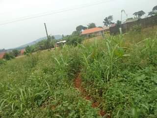 A picture of 100 by 100 ft that touches the tarmac of mukono