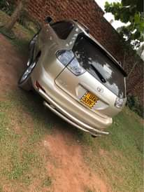 A picture of Harrier kawundo