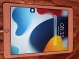 A picture of iPad Air 2