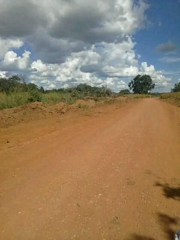 zambia plots
