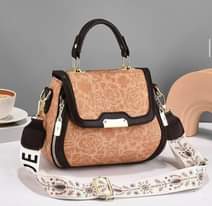 A picture of Women s handbag