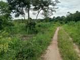 A picture of  14 Acres of Fertile lands available for sale in