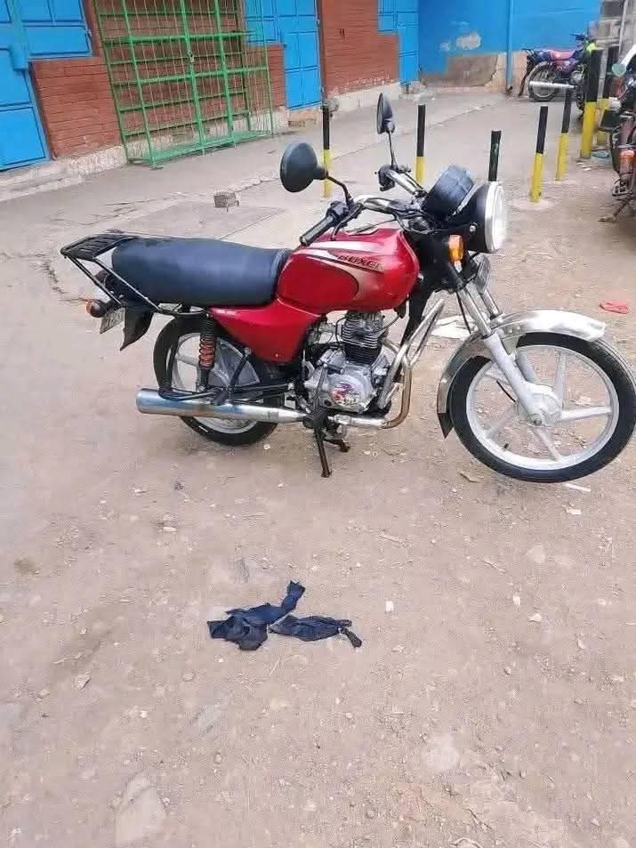 motorbikes