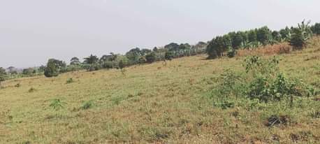 A picture of ESTATE LOCATED WAKISO GOBERO