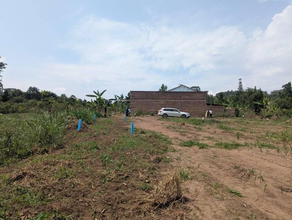 A picture of Land at Gobero only 7M UGX 50x100ft 07564404 77 078277