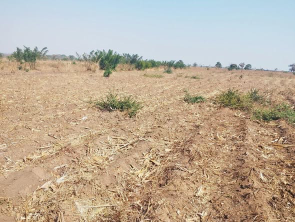 A picture of LAND FOR SALE SIZE 86 ACRES 265989849411