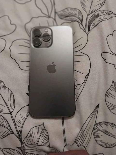 iphone 13pro