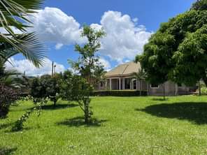 A picture of  House For Sale at UGX 450M negotiable Location Entebbe