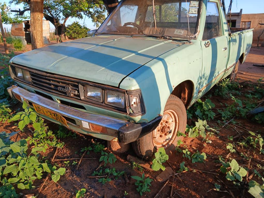 datsun