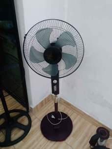 A picture of Feni