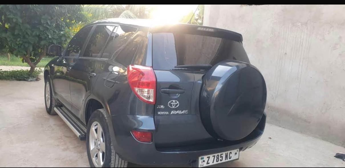 A picture of 2010 RAV 4