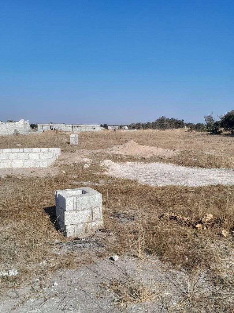 zambia plots