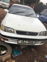 Ali G.
