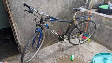 A picture of Bicycle