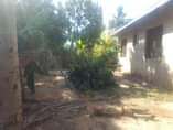 A picture of Nyumba
