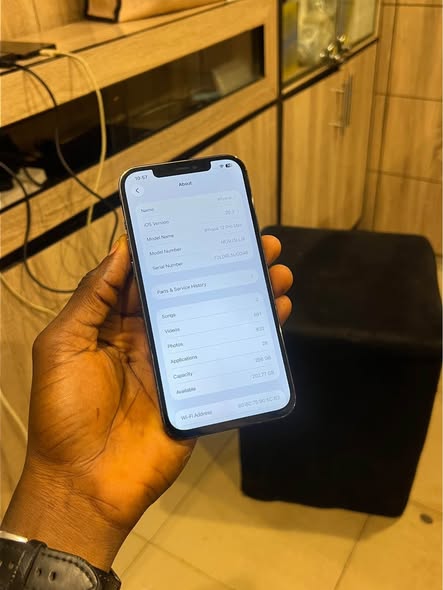 A picture of iPhone 12 Pro Max