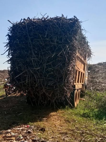 A picture of TATA TIPPER