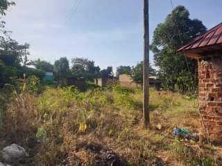A picture of Land
