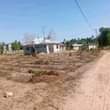 A picture of Viwanja