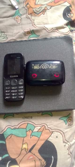 A picture of Guava and Earbud