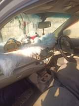 used nissan march