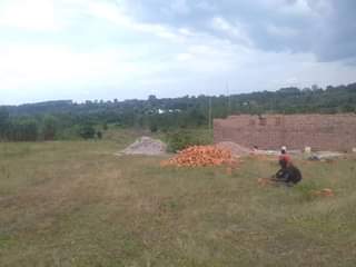 A picture of Plots