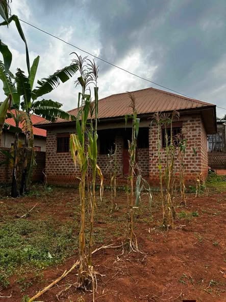 A picture of Matugga town house on quick sale at 22 m shs